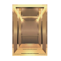 China Residential Passenger Elevator with Good Price